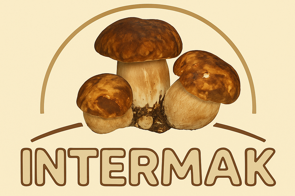 chatgpt image oct 21, 2025, 08 34 58 am